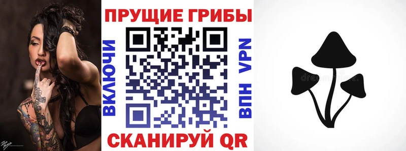 купить наркотик  Алзамай  ссылка на мегу зеркало  Галлюциногенные грибы Cubensis 