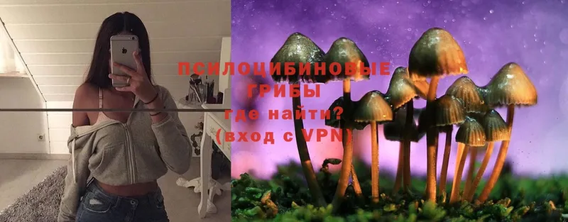 omg сайт  купить наркотики цена  Алзамай  Галлюциногенные грибы MAGIC MUSHROOMS 